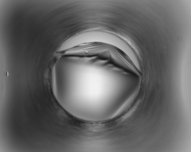 X0000088051001200706081626