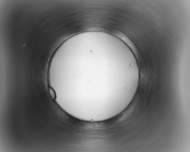 X0000088051002200706081626