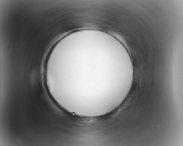 X0000088051003200706081625