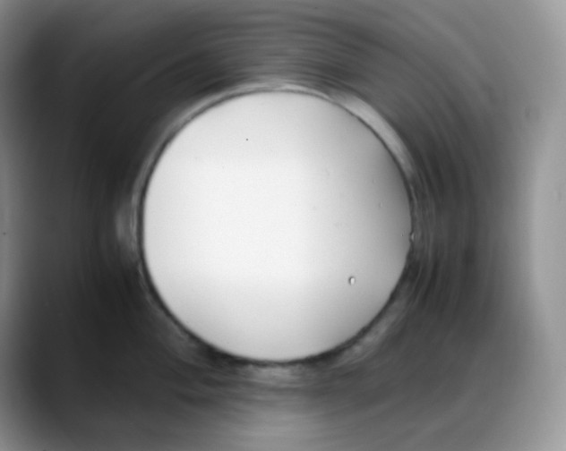 X0000088051004200706081625