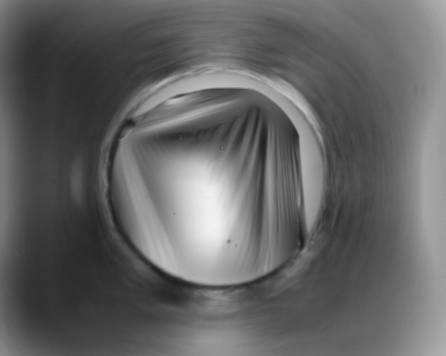 X0000088051005200706081625