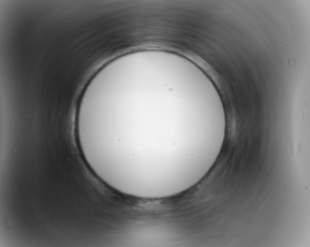 X0000088051006200706081625