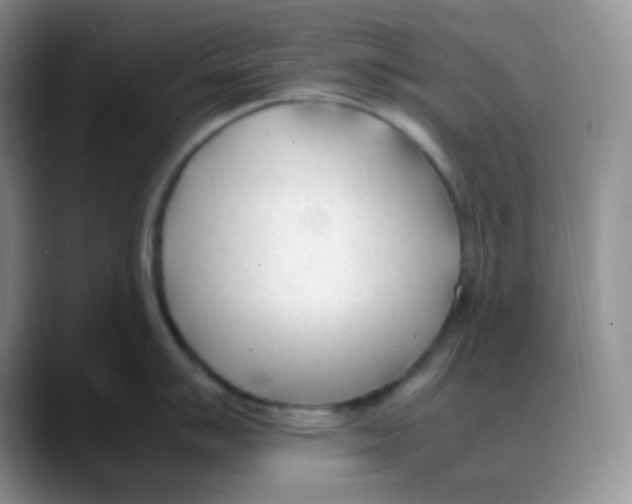 X0000088051007200706081625