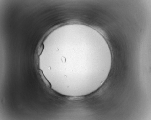 X0000088051008200706081625