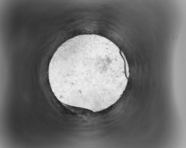 X0000088051009200706081625