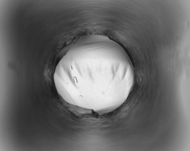 X0000088051010200706081625