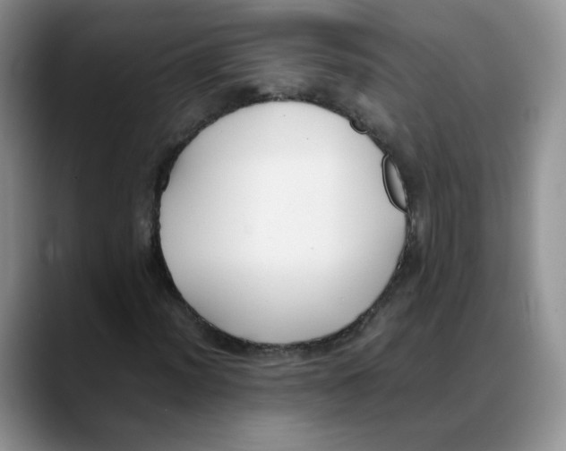 X0000088051012200706081625