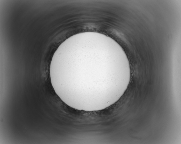 X0000088051015200706081625