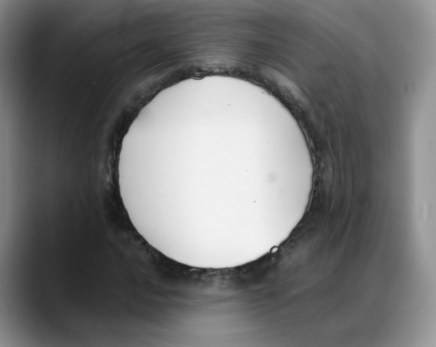 X0000088051016200706081625