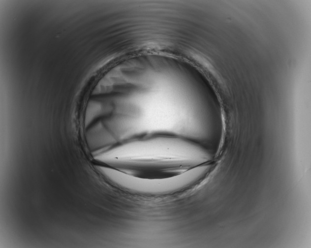 X0000088051018200706081625
