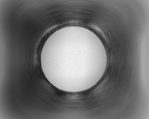 X0000088051019200706081625