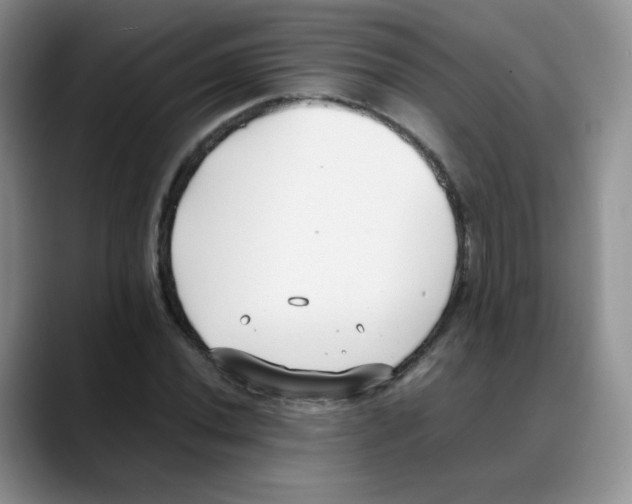 X0000088051020200706081625