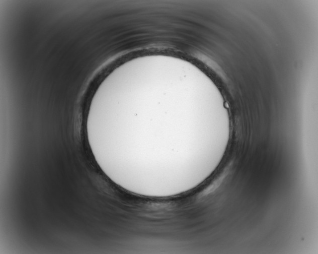 X0000088051021200706081625
