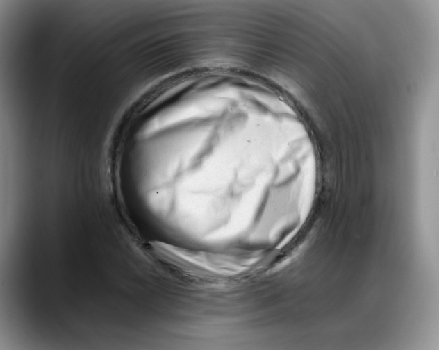 X0000088051022200706081625