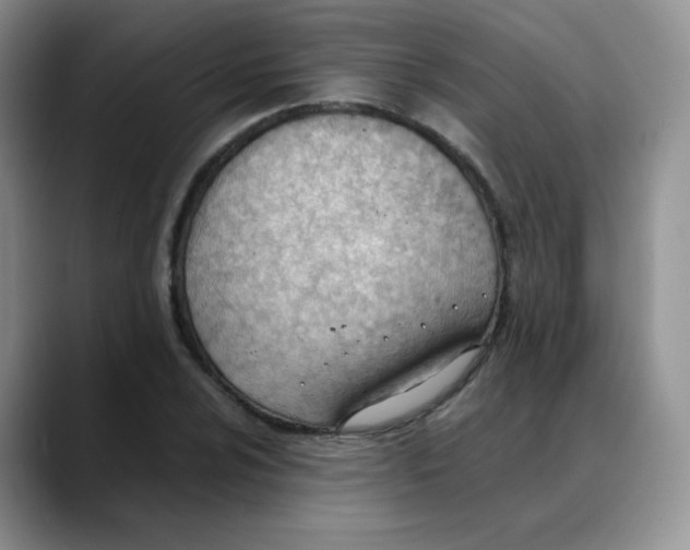 X0000088051024200706081625