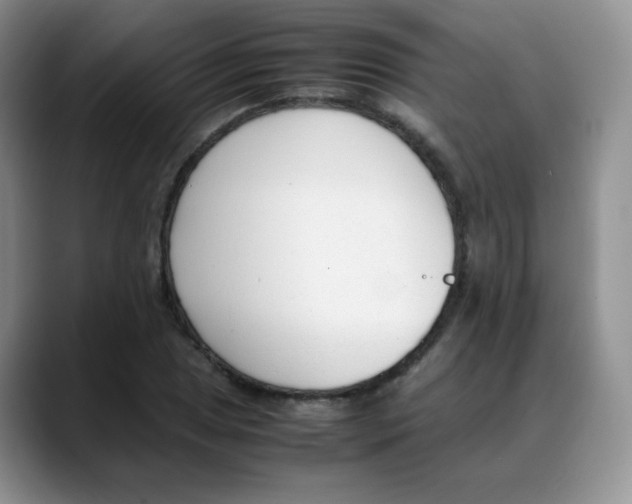 X0000088051025200706081625