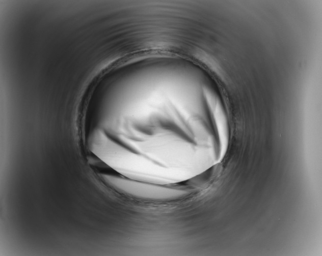 X0000088051026200706081625