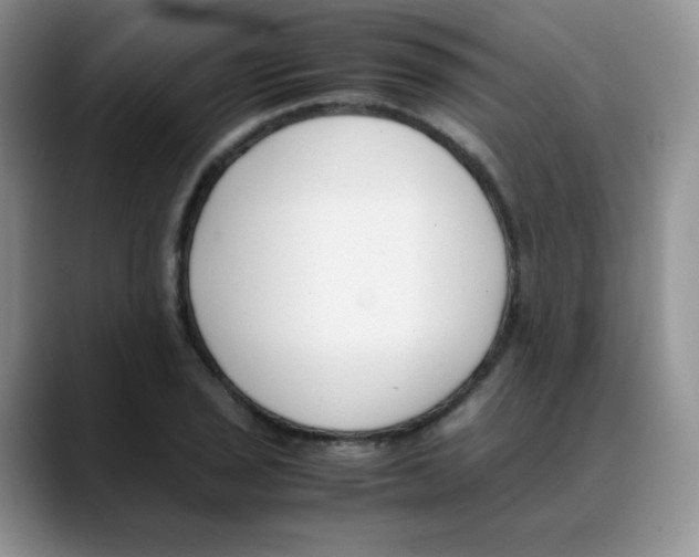 X0000088051029200706081625