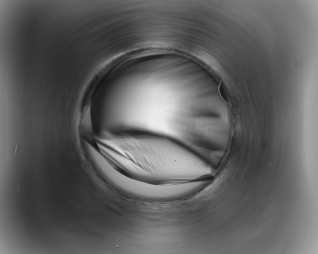 X0000088051030200706081625