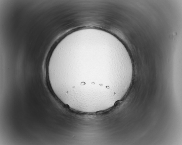 X0000088051032200706081625