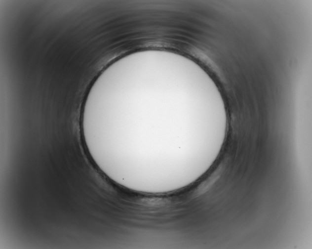X0000088051033200706081625