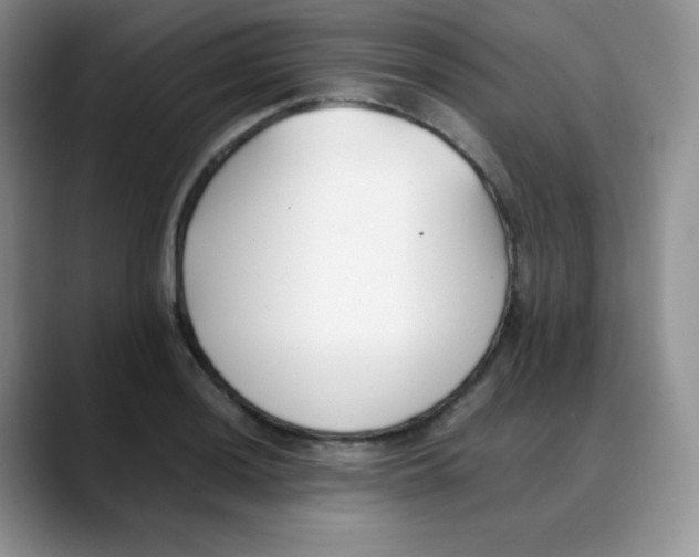 X0000088051036200706081625