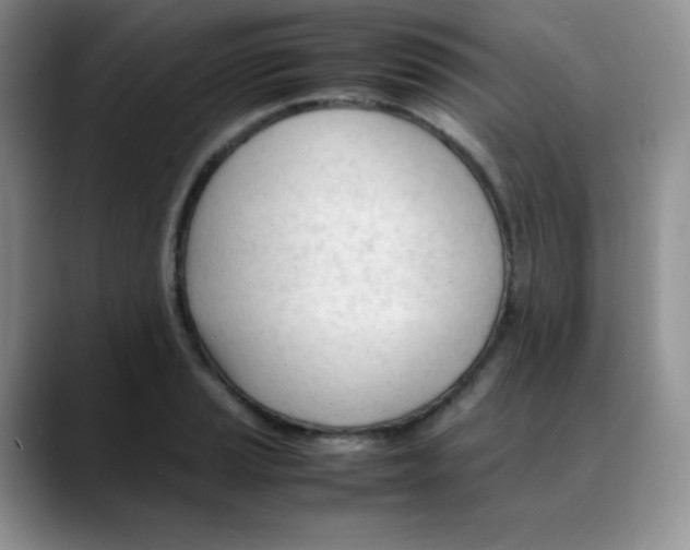 X0000088051037200706081625