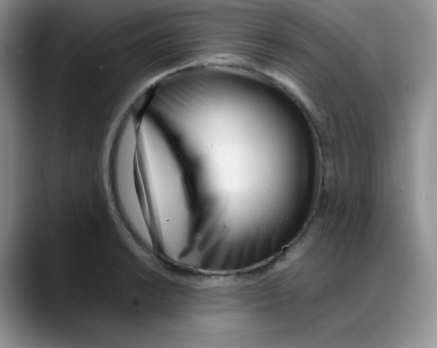 X0000088051038200706081625