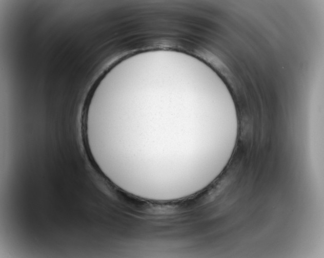 X0000088051039200706081625