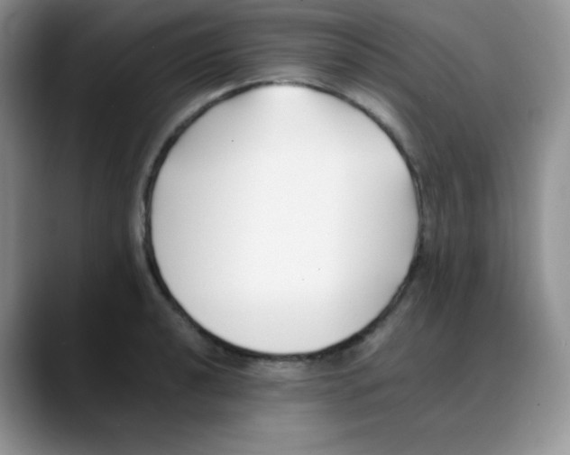 X0000088051040200706081625