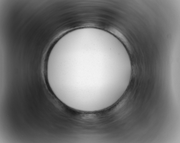 X0000088051043200706081625