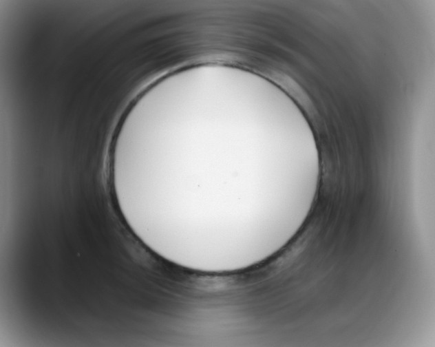 X0000088051044200706081625
