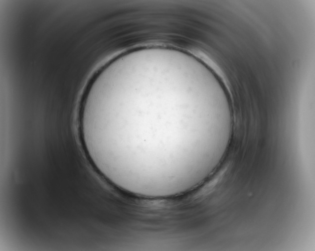 X0000088051045200706081625