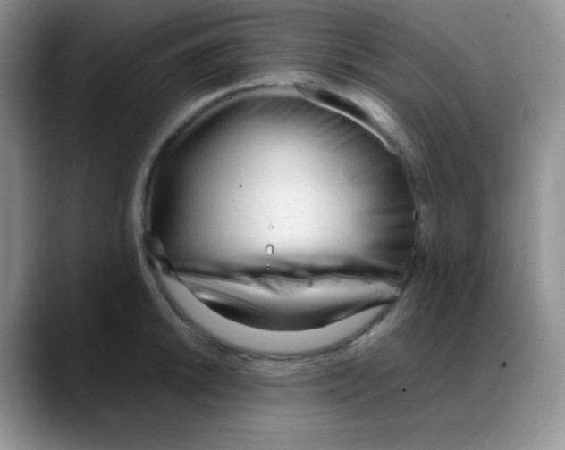 X0000088051046200706081625
