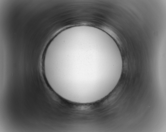 X0000088051047200706081625