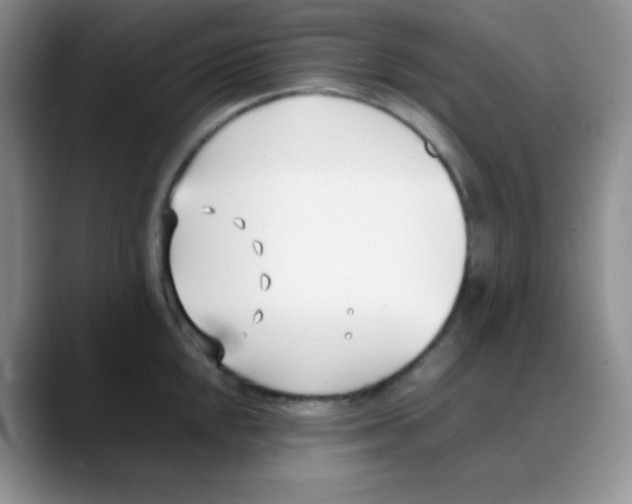 X0000088051048200706081625