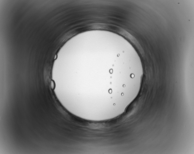 X0000088051049200706081625