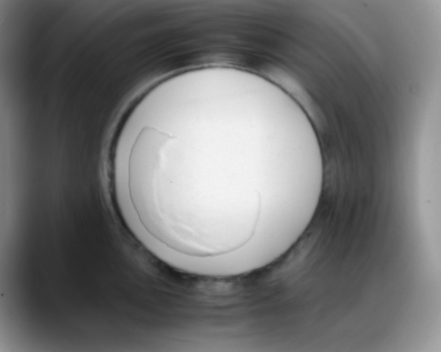X0000088051051200706081625
