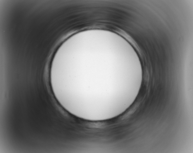 X0000088051053200706081625