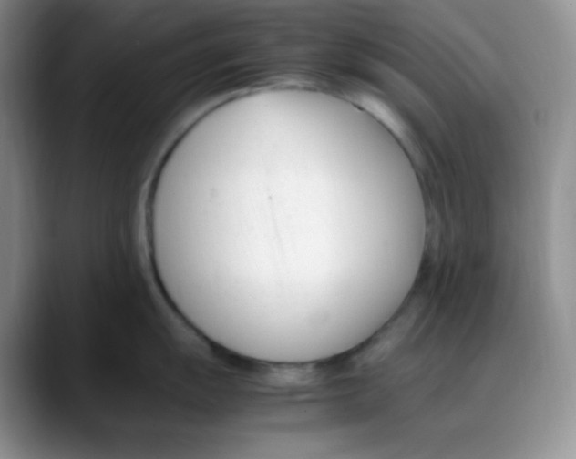 X0000088051055200706081625