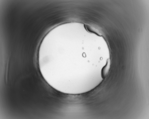 X0000088051056200706081625