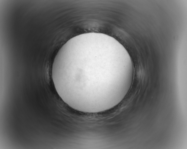 X0000088051060200706081625