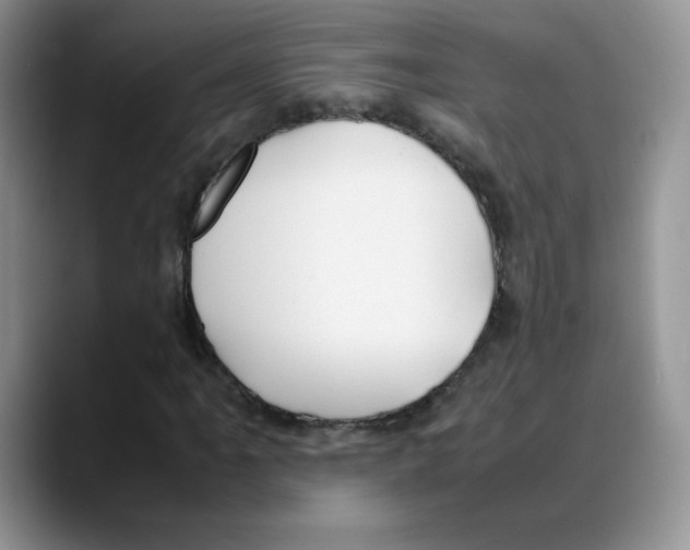 X0000088051061200706081625