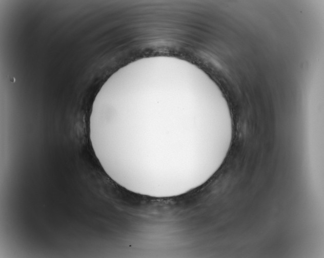X0000088051062200706081625