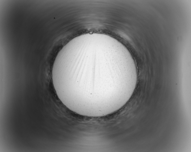 X0000088051063200706081625