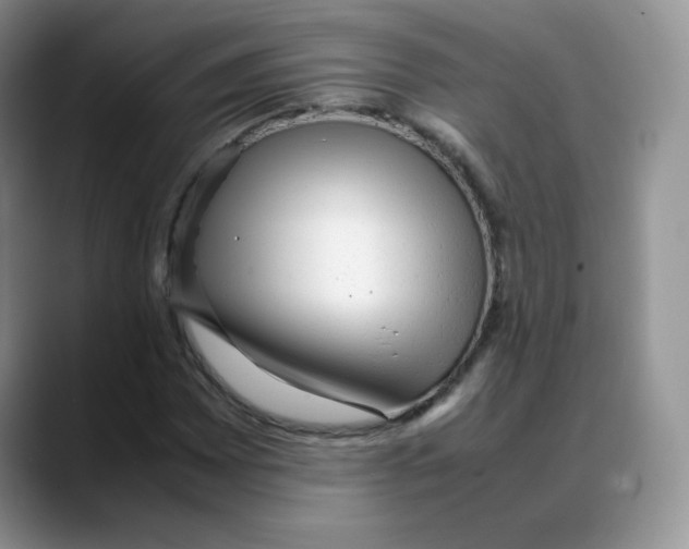 X0000088051065200706081625