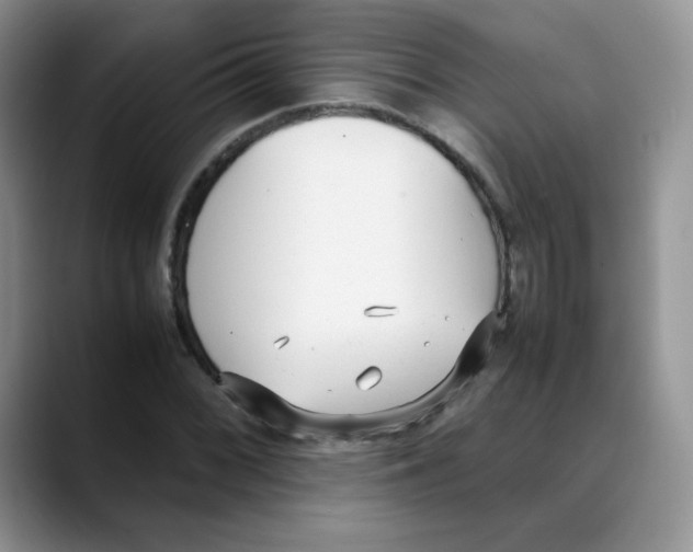 X0000088051068200706081625