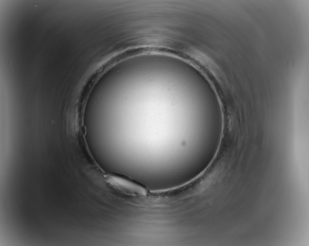 X0000088051069200706081625