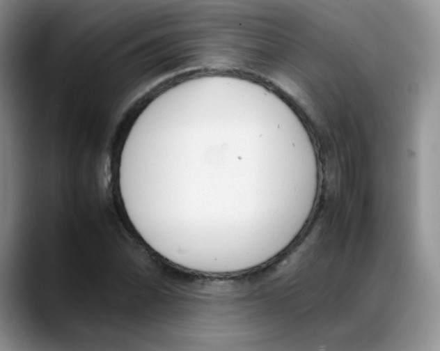 X0000088051070200706081625