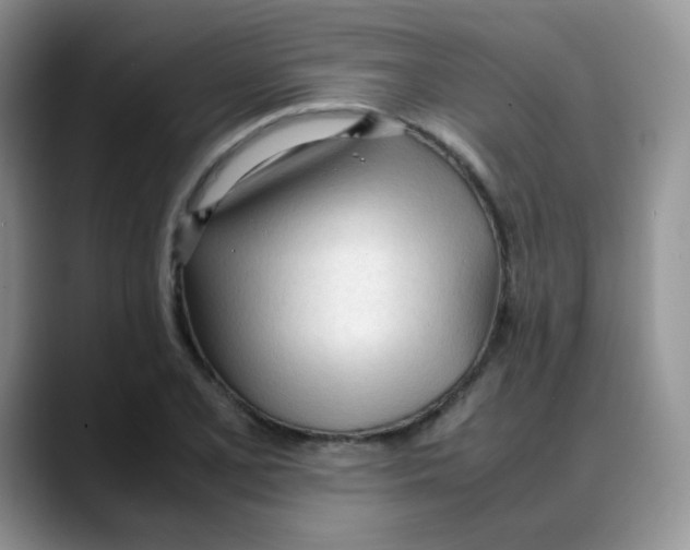 X0000088051077200706081625